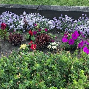 Meet your Posher, Crystal